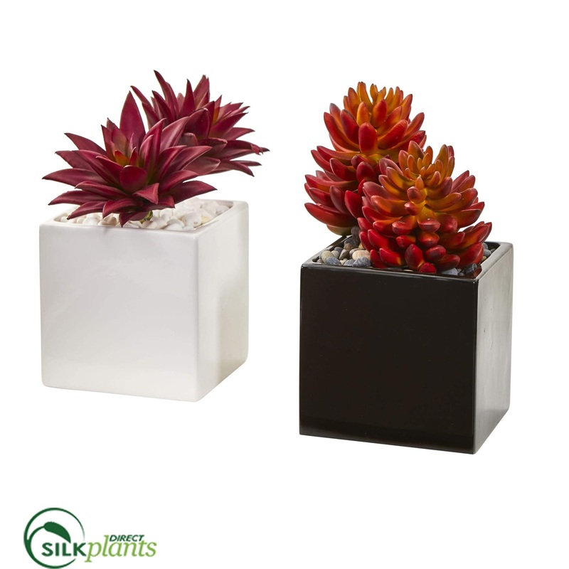 Agave and Spiky Succulent Artificial Plant – Pack of 1