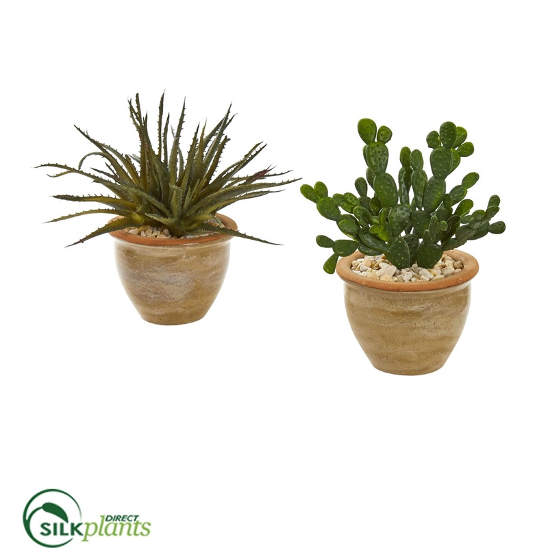 Aloe and Cactus Succulent Artificial Plant – Pack of 1