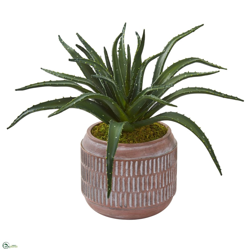 Aloe Succulent Artificial Plant – Pack of 1