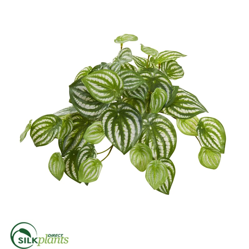 Watermelon Peperomia Hanging Artificial Bush Plant – Pack of 1