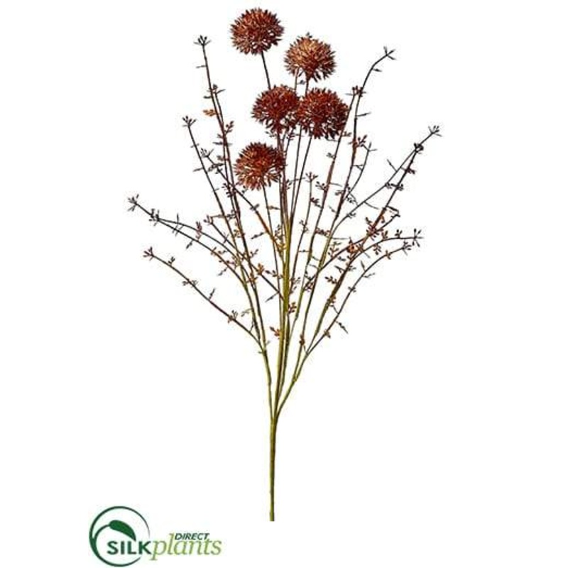 Allium Spray – Brown – Pack of 12