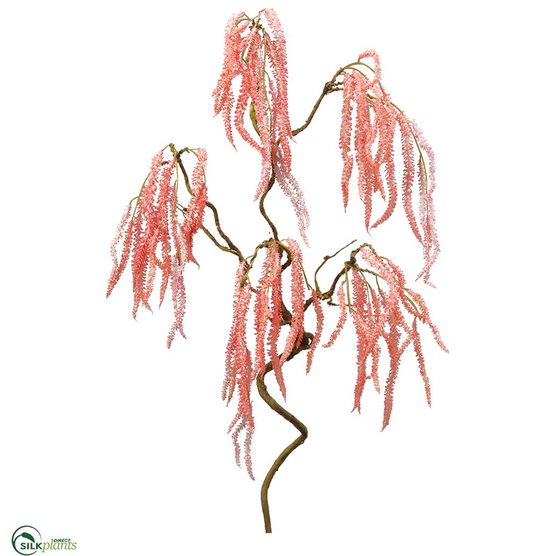 Amaranthus Spray – Pink – Pack of 12