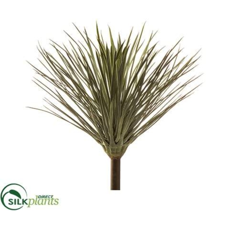 Yucca Plant – Green Gray – Pack of 4