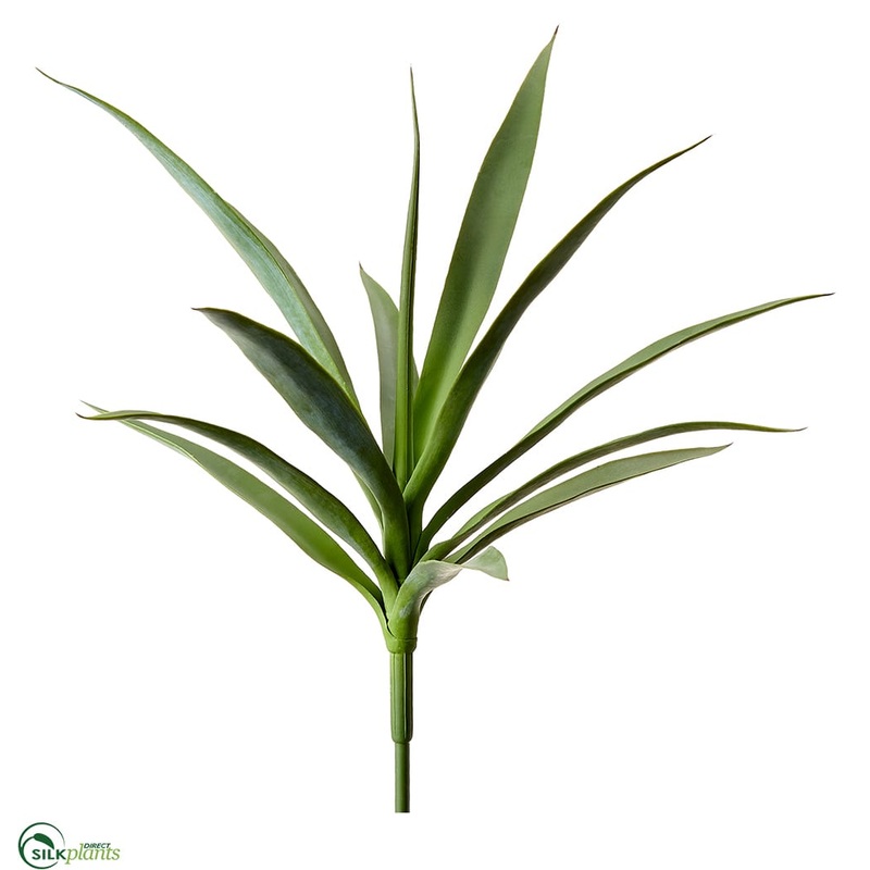 Yucca Plant – Green – Pack of 6