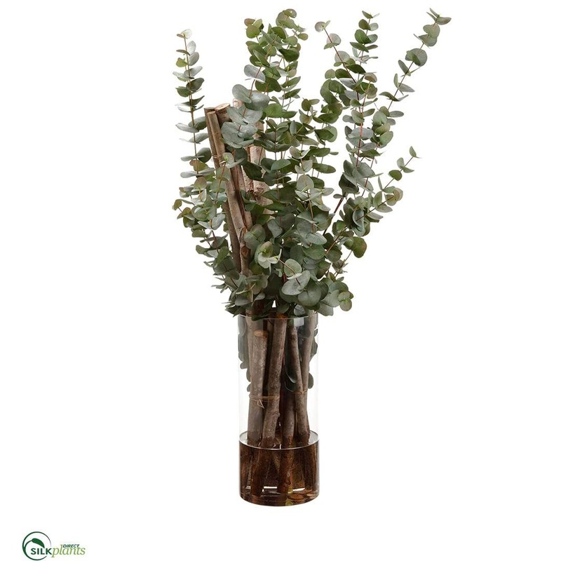 Eucalyptus – Green – Pack of 1