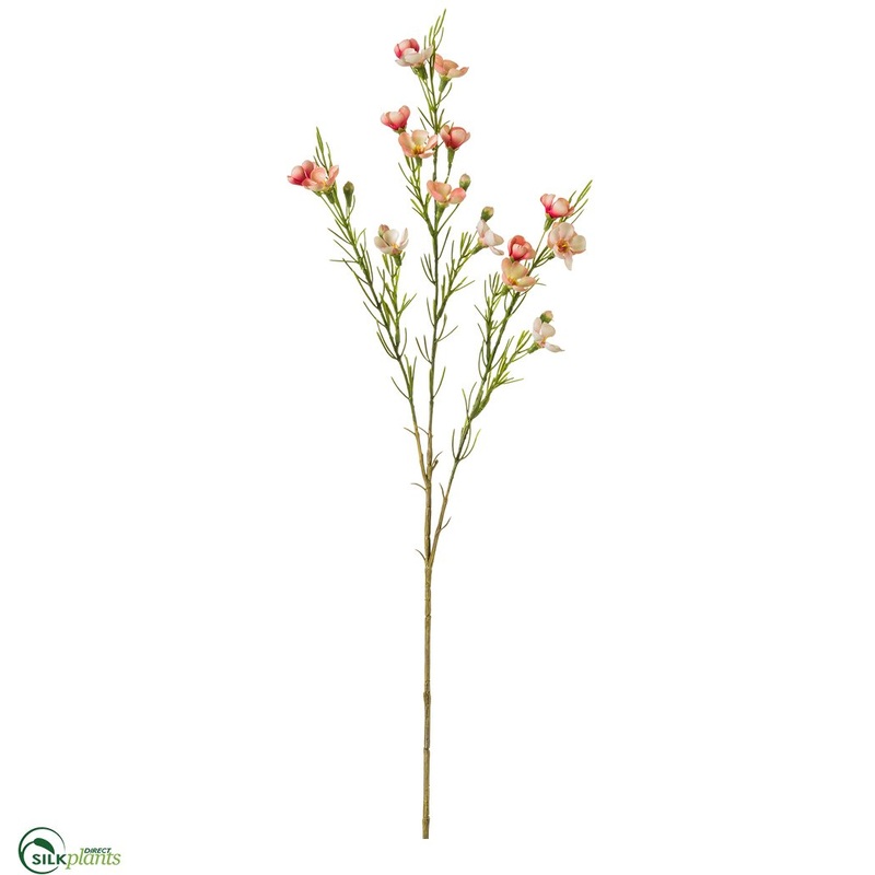 Waxflower Spray – Pink Light – Pack of 12