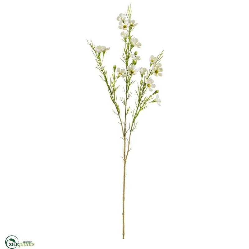 Waxflower Spray – White – Pack of 12