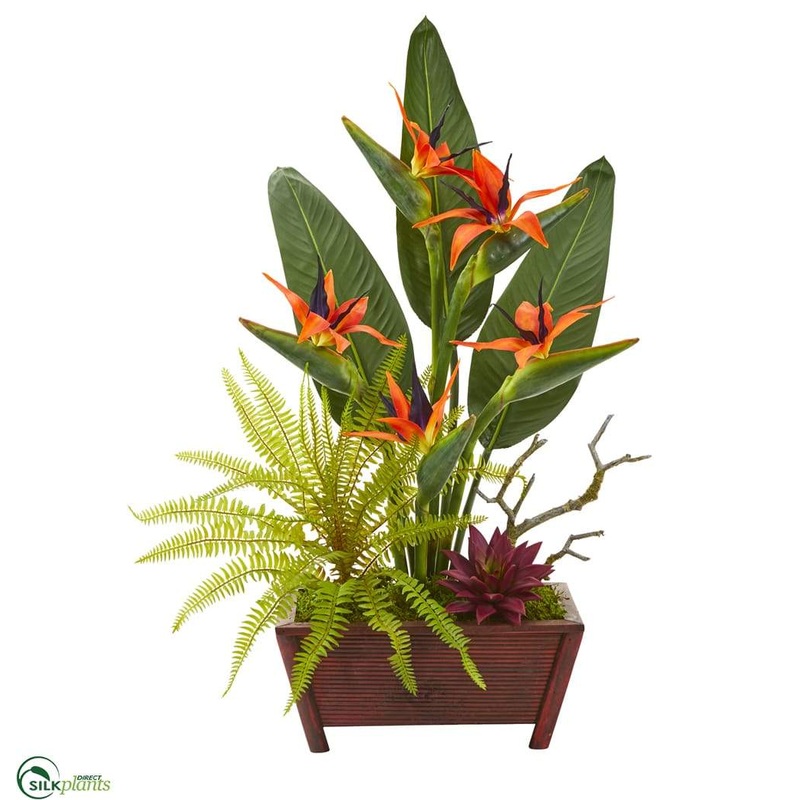 Bird of Paradise, Succulent and Fern Artificial Plant – Pack of 1