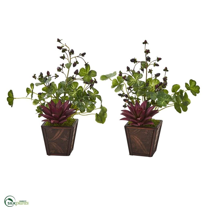 Succulent, Clover and Coffee Leaf Artificial Plant in Decorative Planter – Pack of 2
