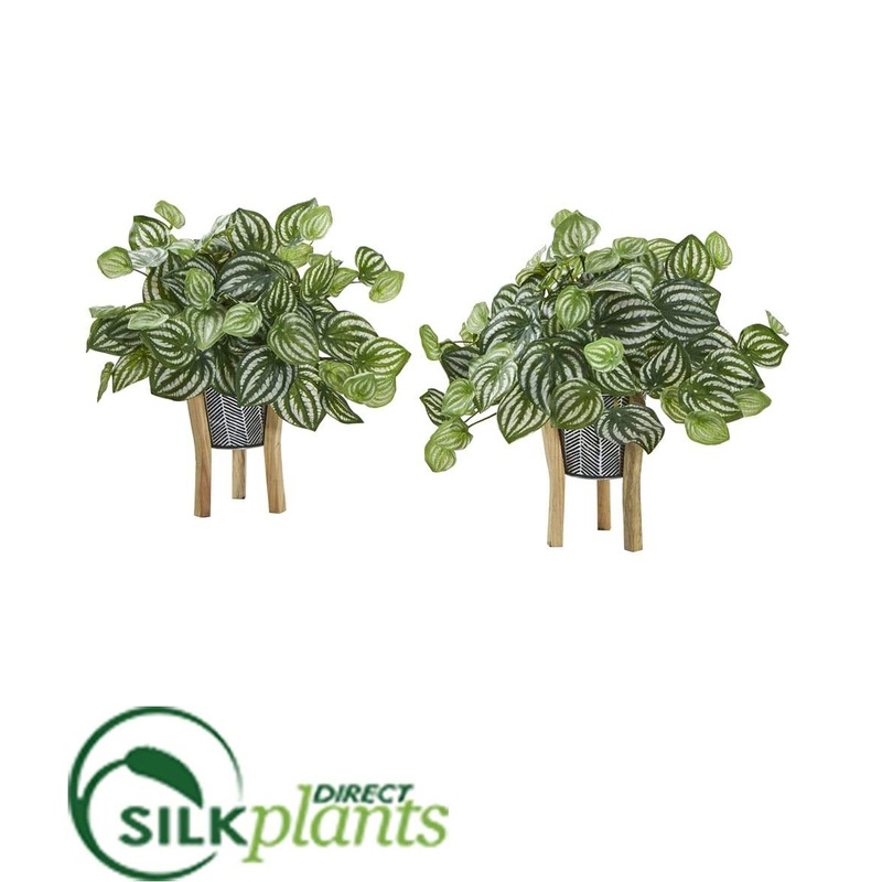 Watermelon Peperomia Artificial Plant in Tin Planter with Legs – Pack of 2