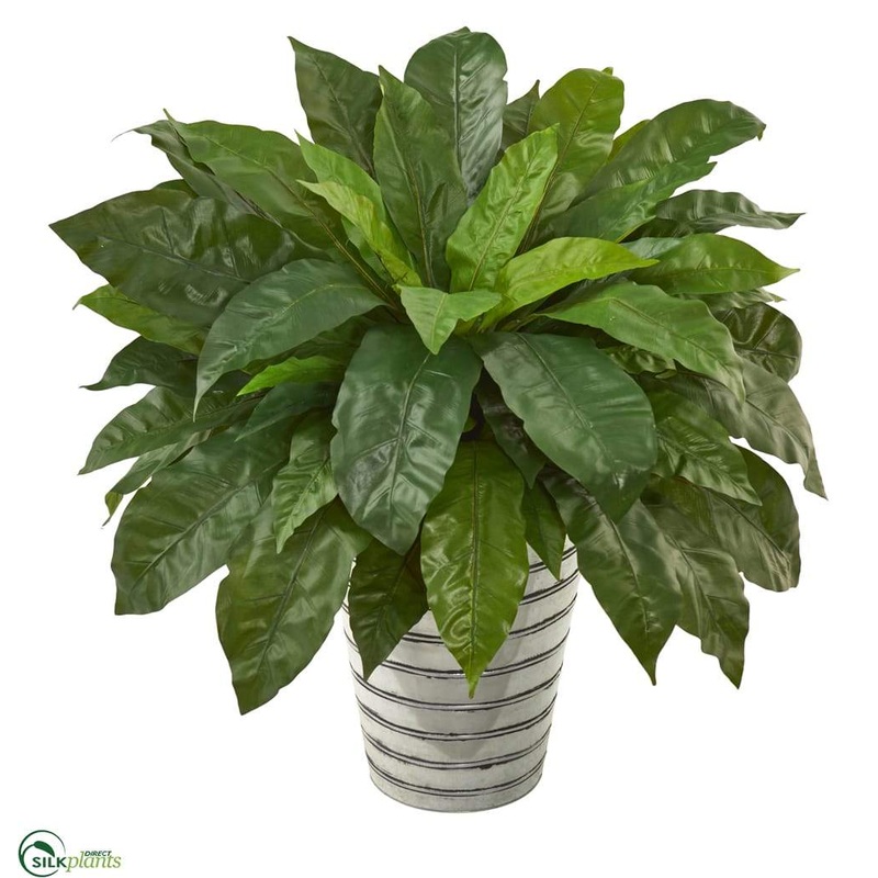 Birds Nest Fern Artificial Plant – Pack of 1