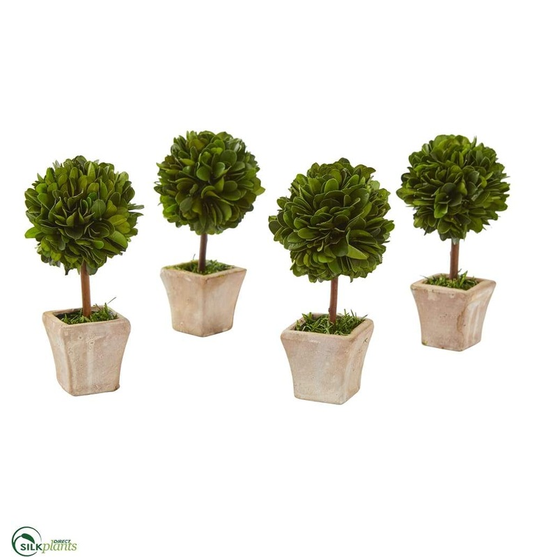 Boxwood Topiary Preserved Plant in Ceramic Planter – Pack of 4
