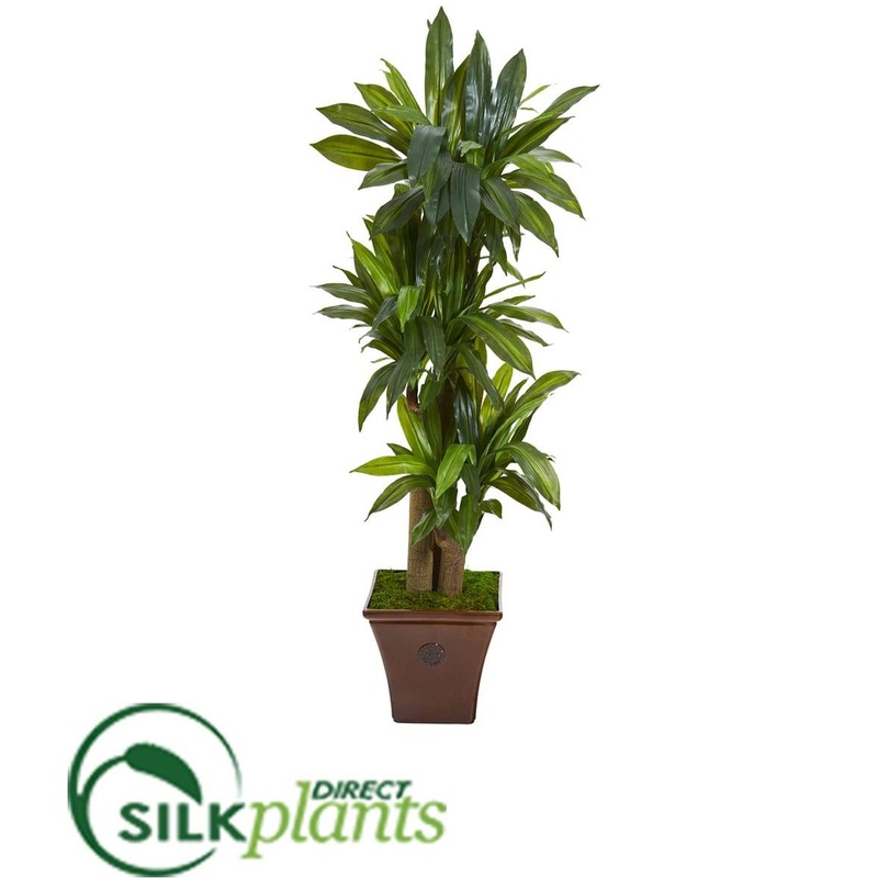Corn Stalk Dracaena Artificial Plant in Brown Planter – Pack of 1