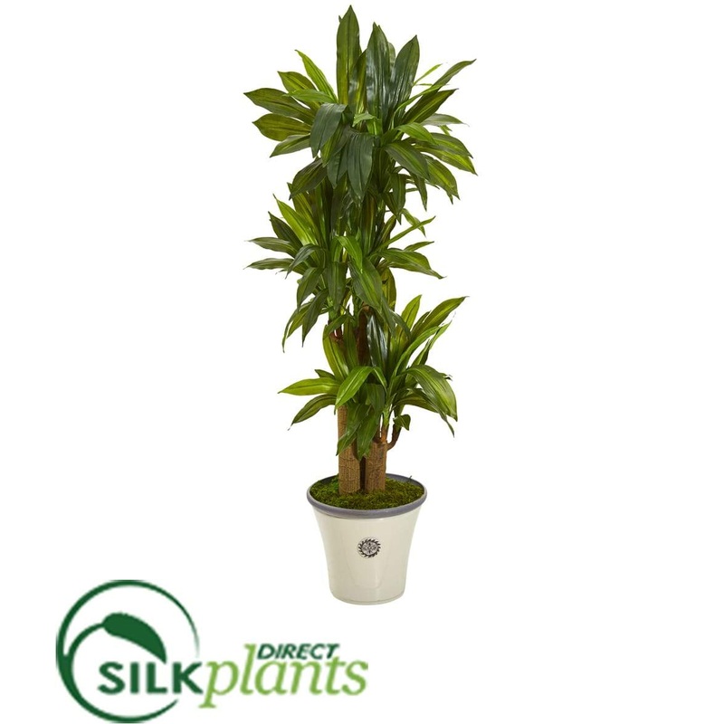 Corn Stalk Dracaena Artificial Plant in Planter – Pack of 1