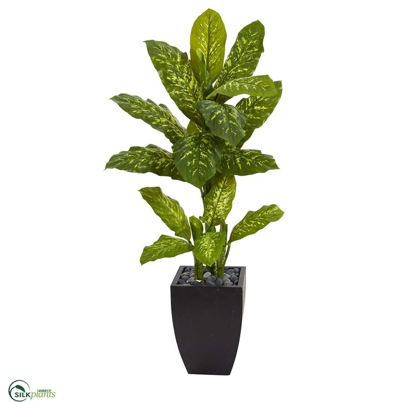 Dieffenbachia Artificial Plant in Black Planter – Pack of 1