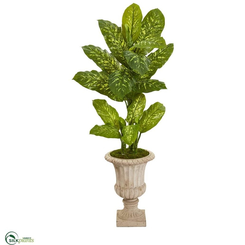 Dieffenbachia Artificial Plant in Sand Finished Urn – Pack of 1