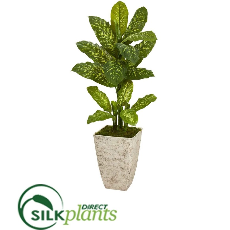 Dieffenbachia Artificial Plant in Stone Washed Planter – Pack of 1