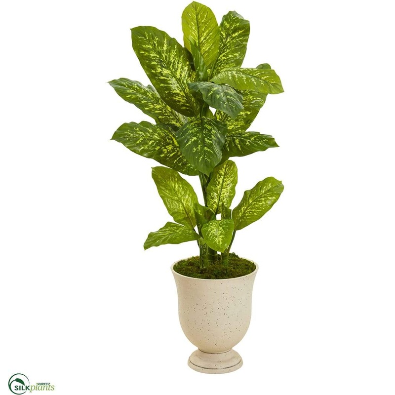 Dieffenbachia Artificial Plant in White Urn – Pack of 1