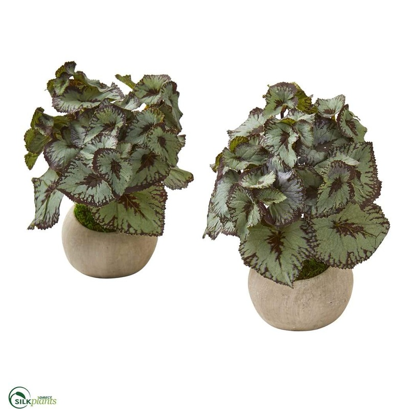 Rex Begonia Artificial Plant in Stone Gray Planter – Pack of 2