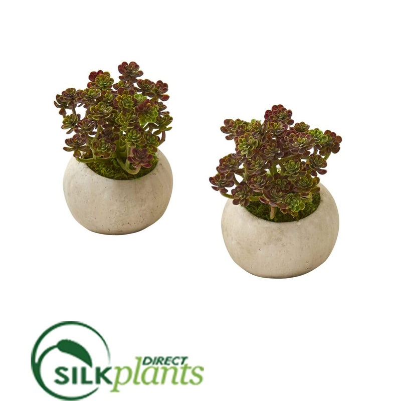 Sedum Succulent Artificial Plant in Stone Planter – Pack of 2