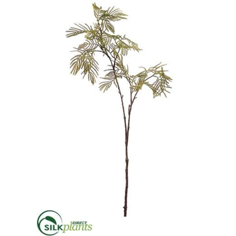 Acacia Spray – Green – Pack of 12