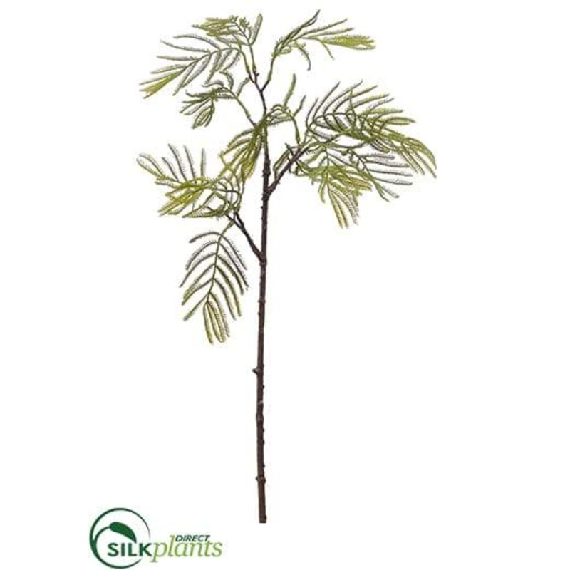 Acacia Spray – Green – Pack of 24