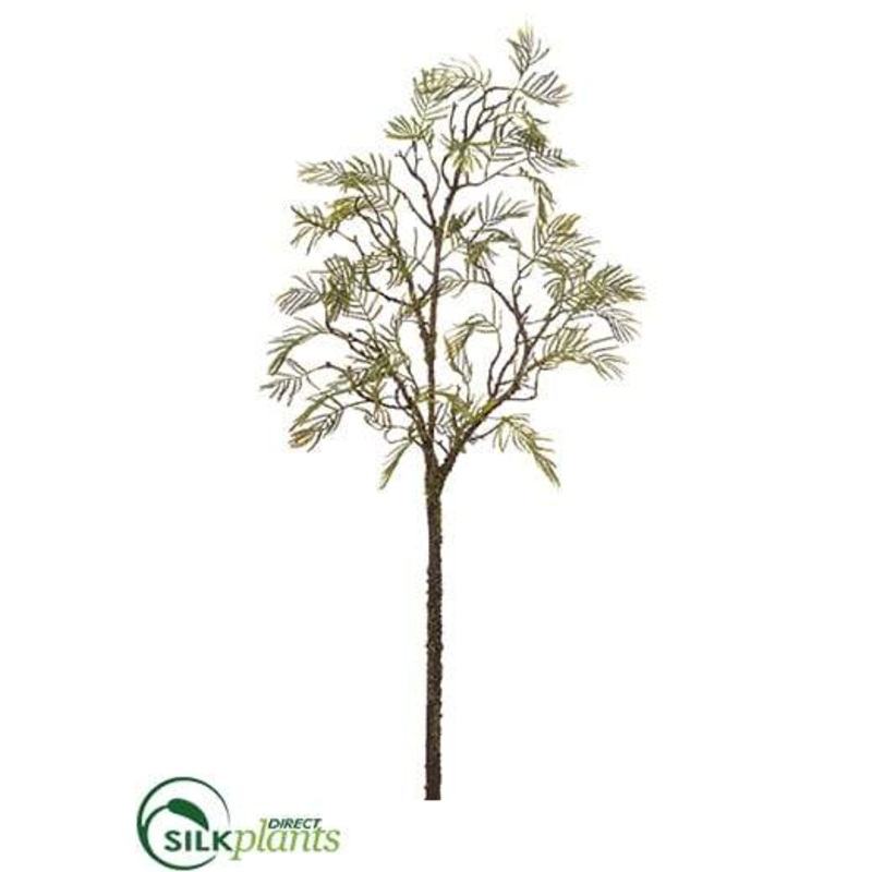 Acacia Spray – Green – Pack of 6