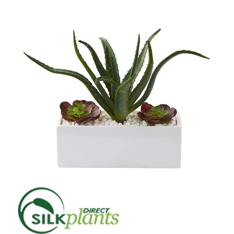 Aloe and Echeveria Succulent Artificial Plant – Pack of 1