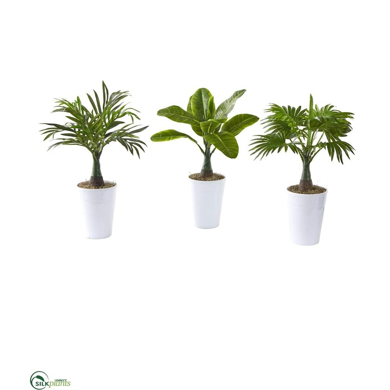 Assorted Mini Palm and Banana Artificial Plant in White Planter – Pack of 3