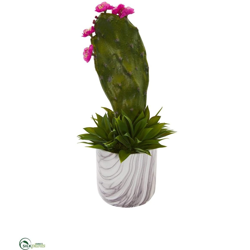Cactus and Agave Succulent Artificial Plant – Pack of 1
