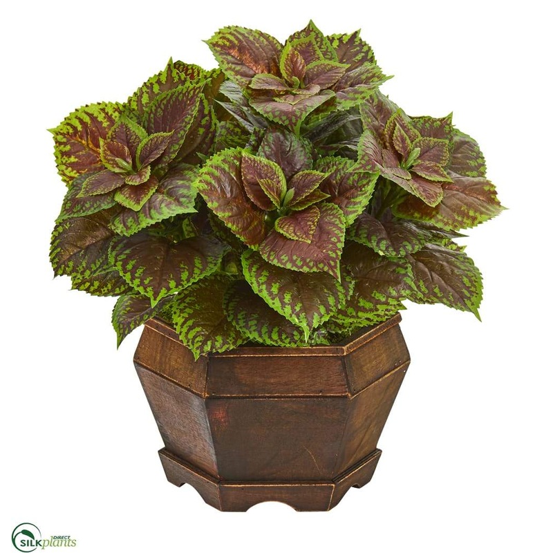 Coleus Artificial Plant in Decorative Planter – Pack of 1