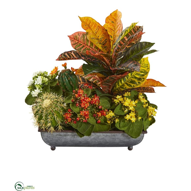 Croton, Kalanchoe and Cactus Artificial Plant – Pack of 1