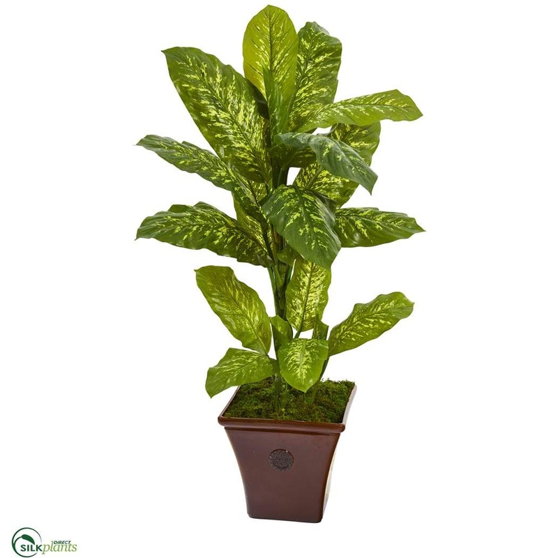 Dieffenbachia Artificial Plant in Brandy Planter – Pack of 1