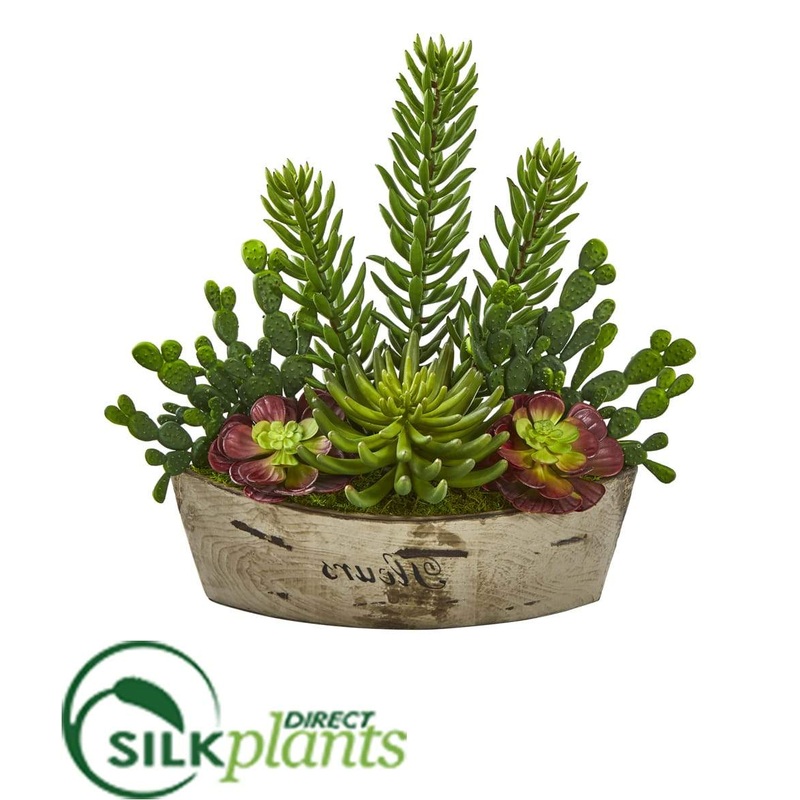 Echeveria and Cactus Succulent Artificial Plant – Pack of 1