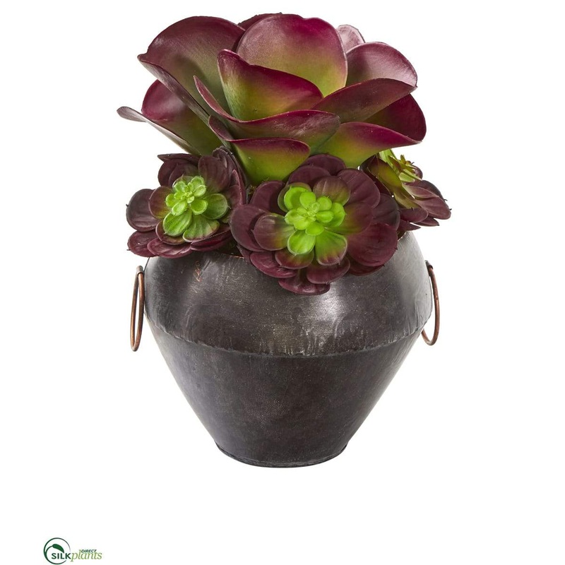 Echeveria and Succulent Artificial Plant – Pack of 1