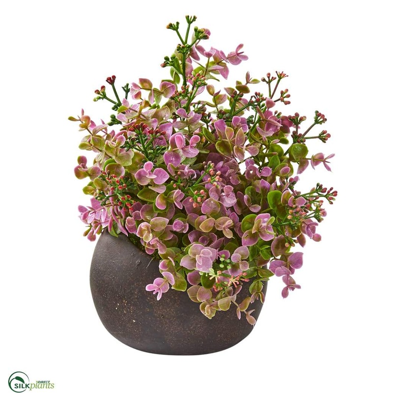 Eucalyptus and Sedum Artificial Plant – Pack of 1