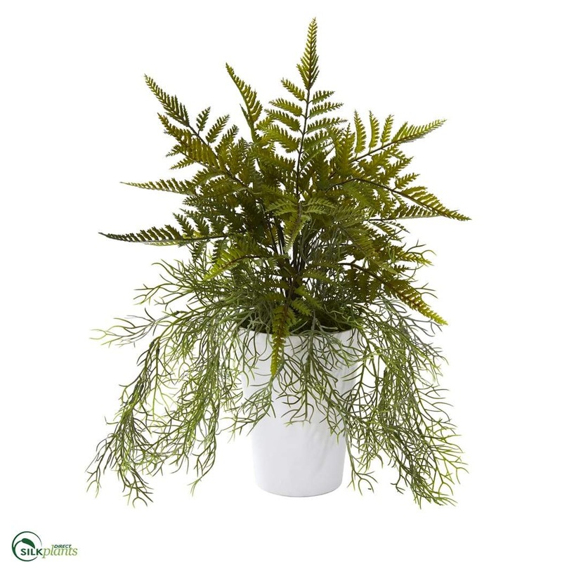 Fern and Tillandsia Moss Artificial Plant – Pack of 1