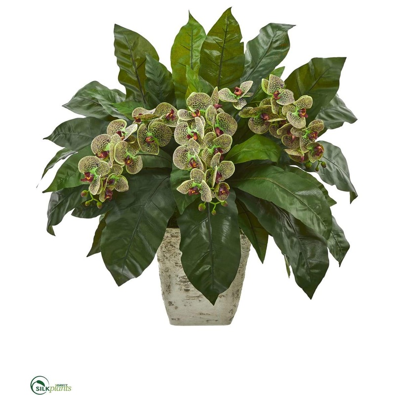 Phalaenopsis Orchid and Birds Nest Fern Artificial Plant – Green Burgundy – Pack of 1