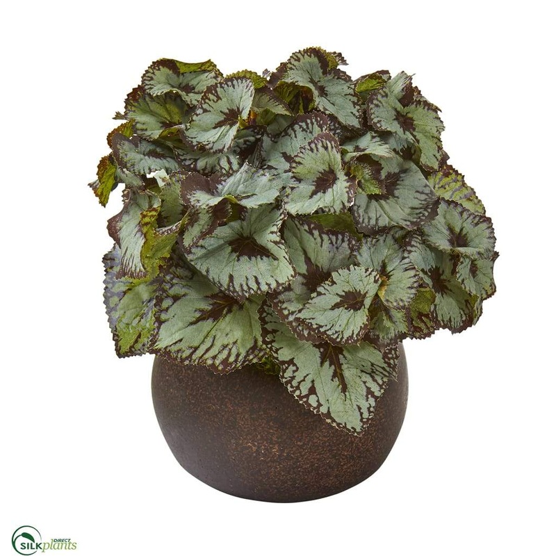 Rex Begonia Artificial Plant – Pack of 1