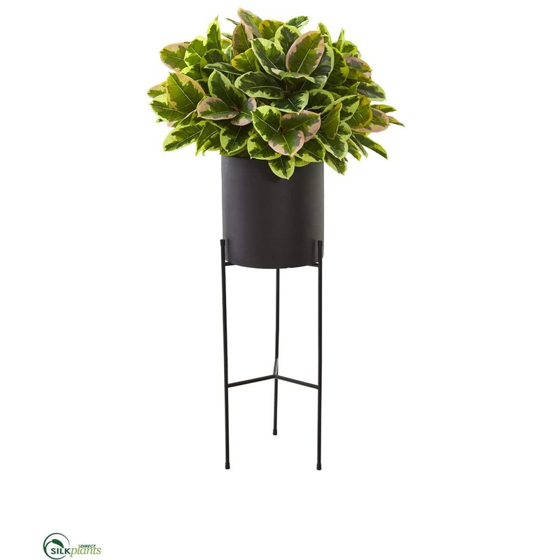 Rubber Leaf Artificial Plant in Black Planter with Stand – Pack of 1