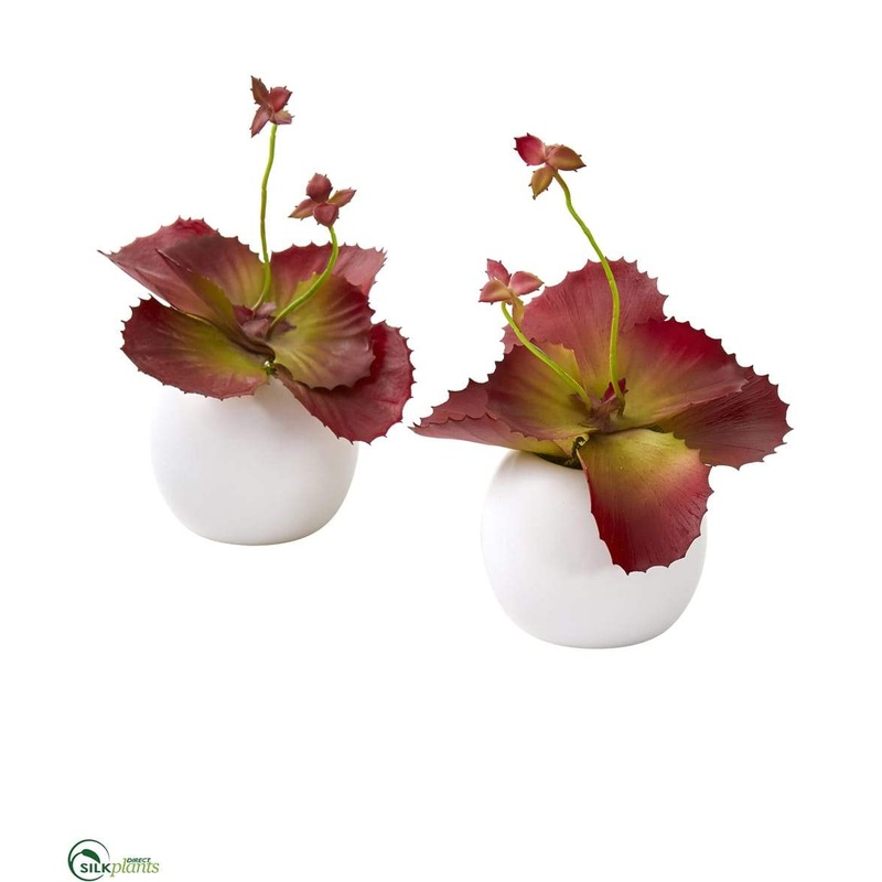 Succulent Artificial Plant in White Planter – White – Pack of 2