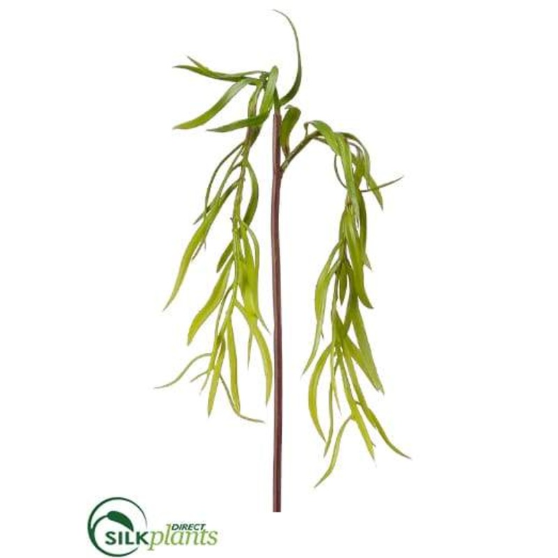 Willow Stem – Green – Pack of 72
