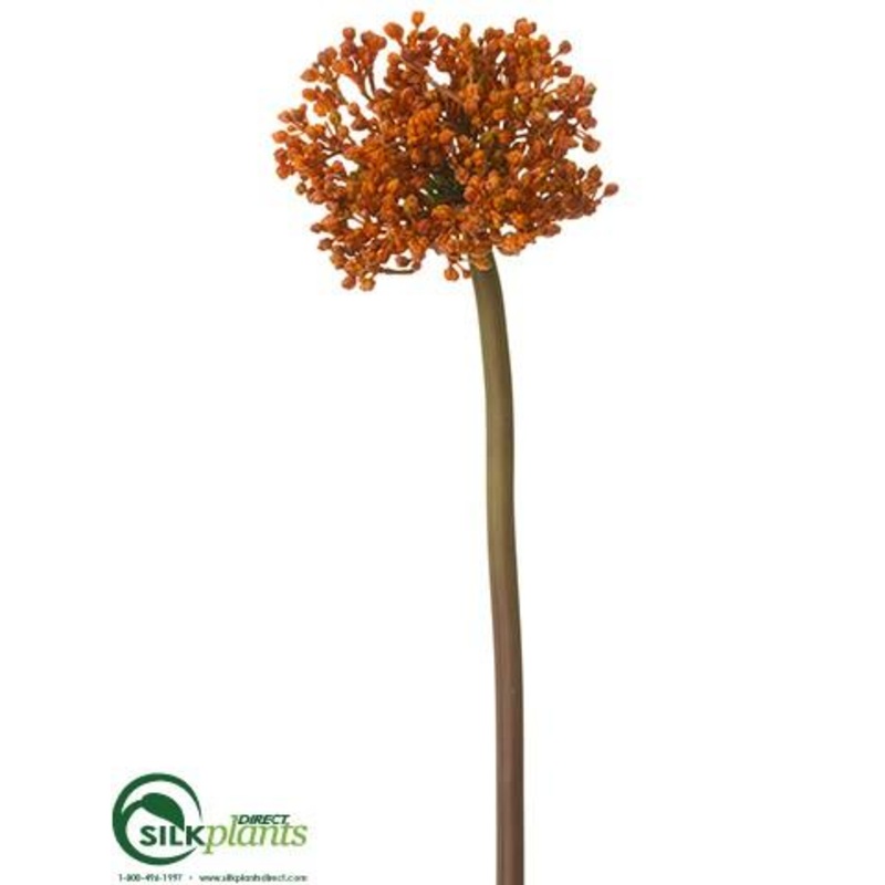 Allium Spray – Orange Brown – Pack of 12