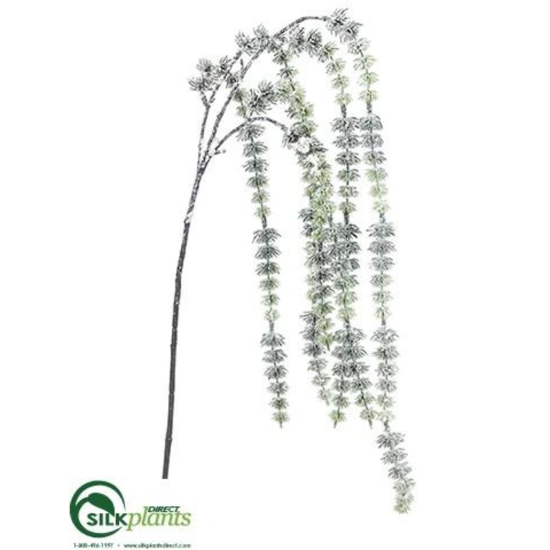 Amaranthus Hanging Spray – Green Snow – Pack of 24