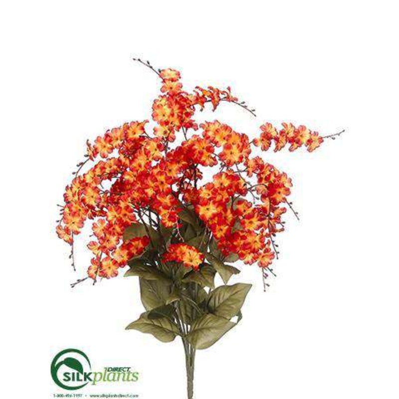 Wild Freesia Bush – Flame Orange – Pack of 12