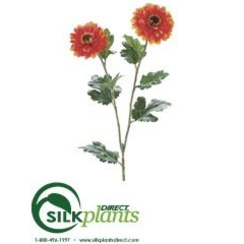 Zinnia Mum Spray – Orange – Pack of 12