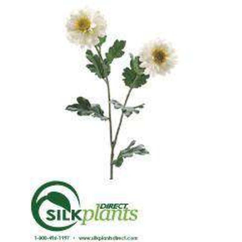 Zinnia Mum Spray – White – Pack of 12
