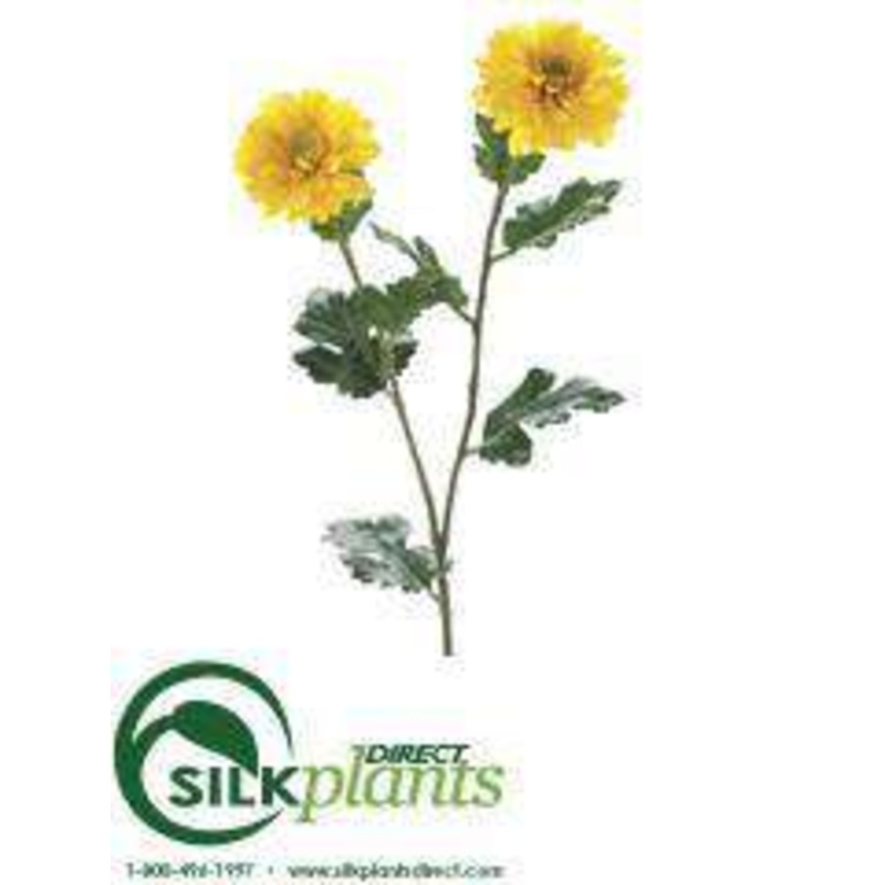 Zinnia Mum Spray – Yellow – Pack of 12