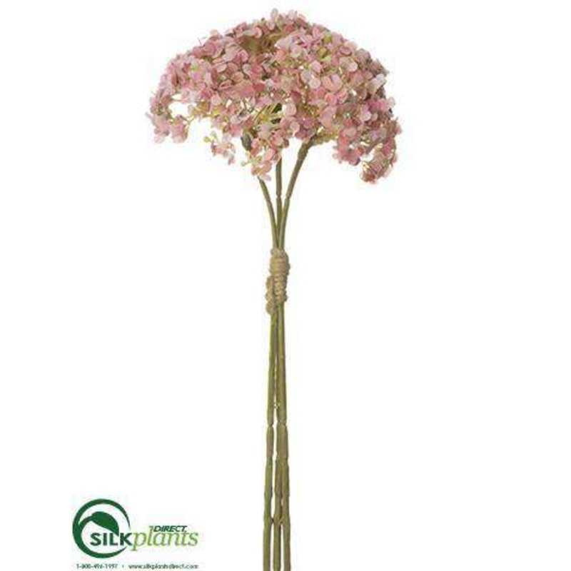 Achillea Bundle – Pink – Pack of 24