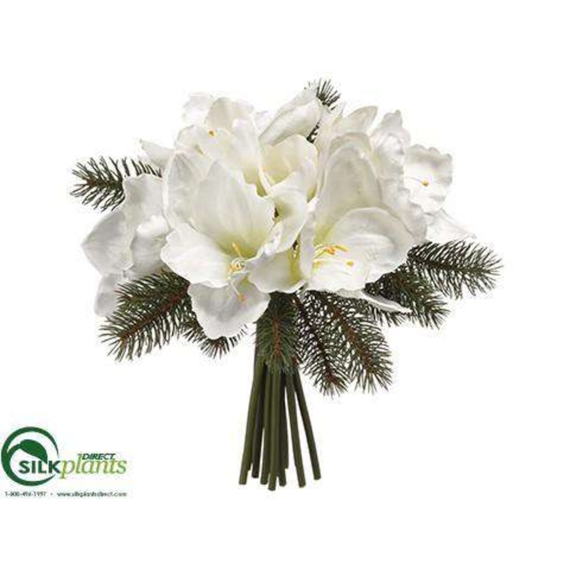 Amaryllis, Pine Bouquet – White – Pack of 6